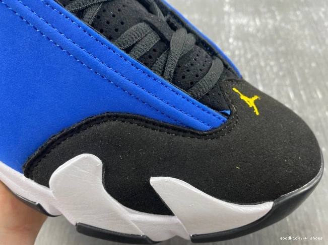 Laney Retro 487471-407 Jordan 14 0809